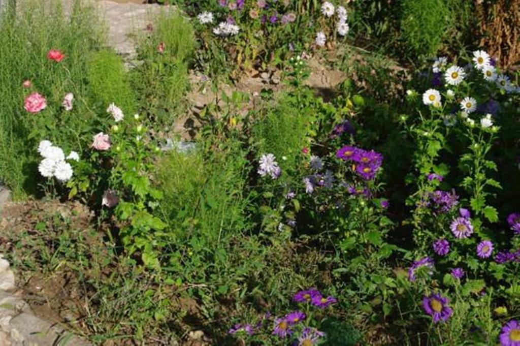 Areni House B&B Kültér fotó